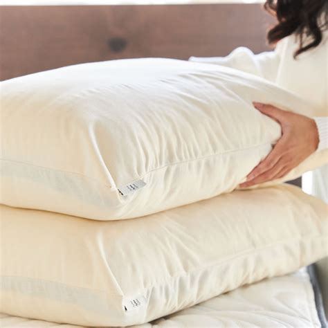 waterproof decorative pillows|waterproof vs cotton pillow protector.